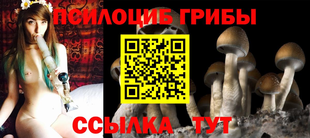 Сафоново  Псилоцибиновые грибы GOLDEN TEACHER  Вход с VPN 